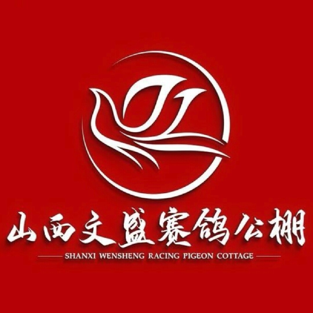 山西文盛赛鸽公棚